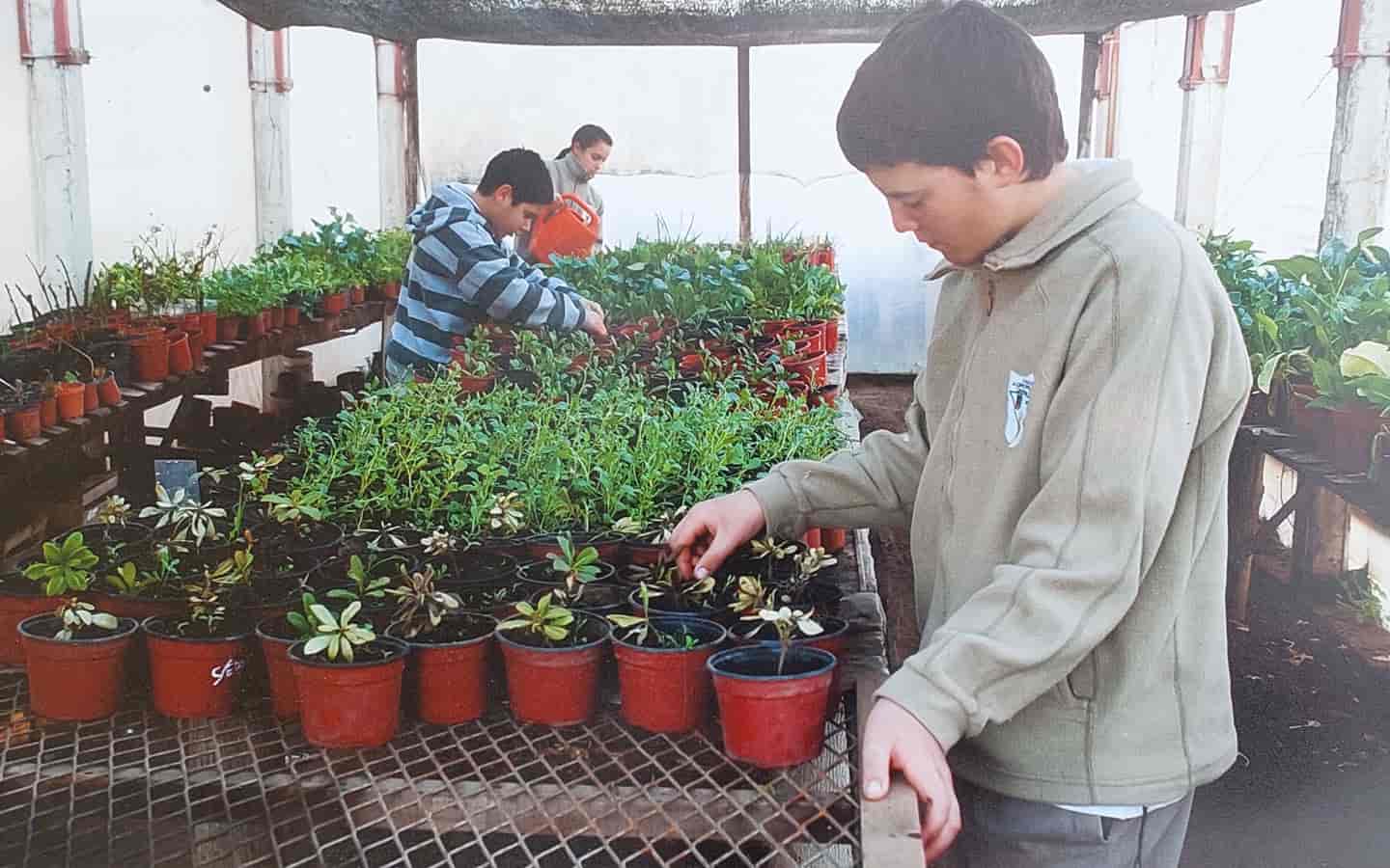 foto del entorno huerta y vivero